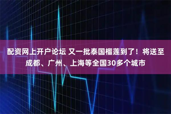 配资网上开户论坛 又一批泰国榴莲到了！将送至成都、广州、上海等全国30多个城市